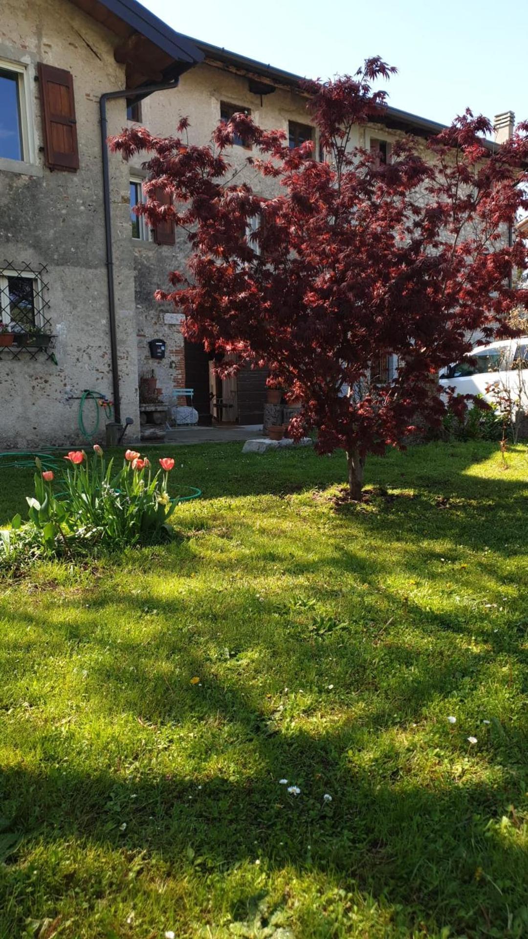 B&B Karin - Rooms & Breakfast Udine Luaran gambar